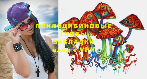 дживик Алексеевка