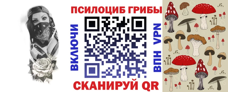 ссылка на мегу как войти  Пыталово  Псилоцибиновые грибы Magic Shrooms 